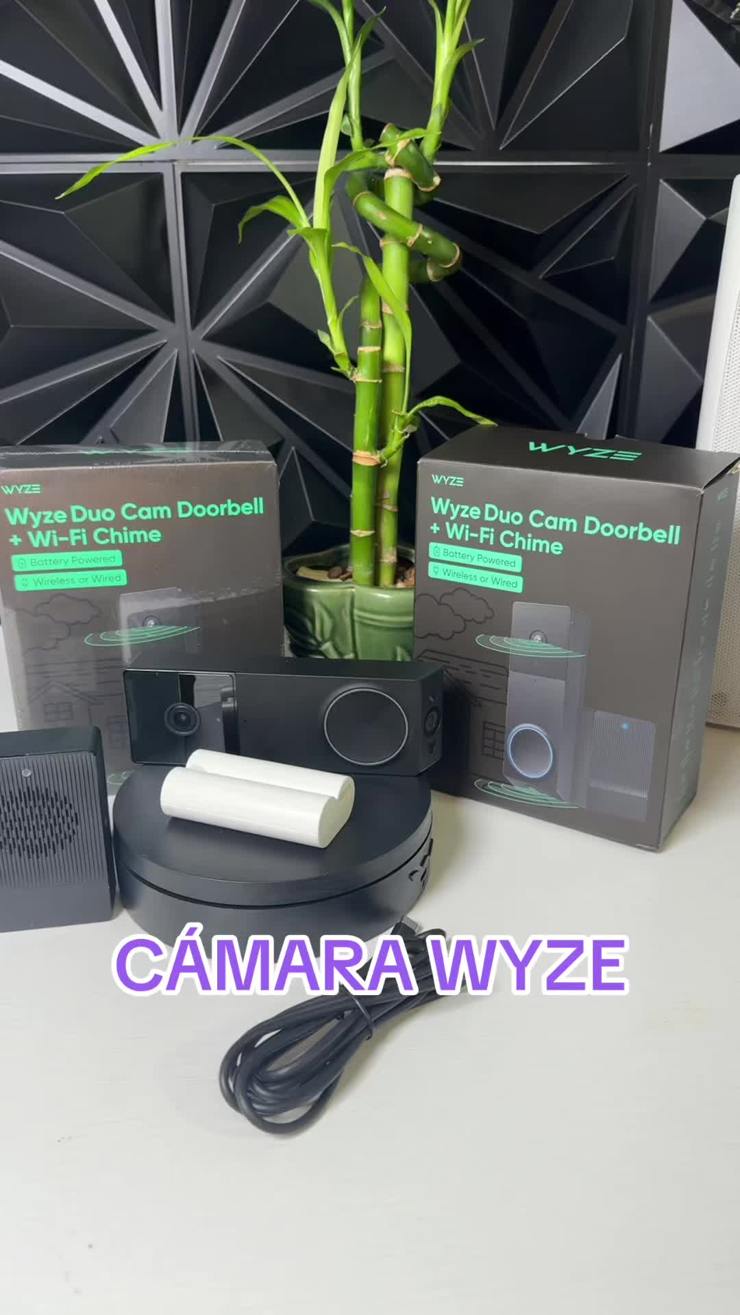 @swipedeals77