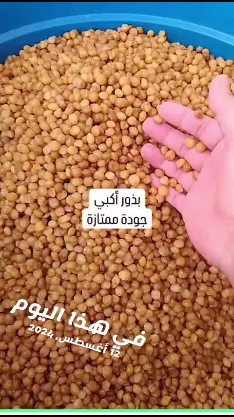 @Om Mohammed wa Osman ❤️❤️