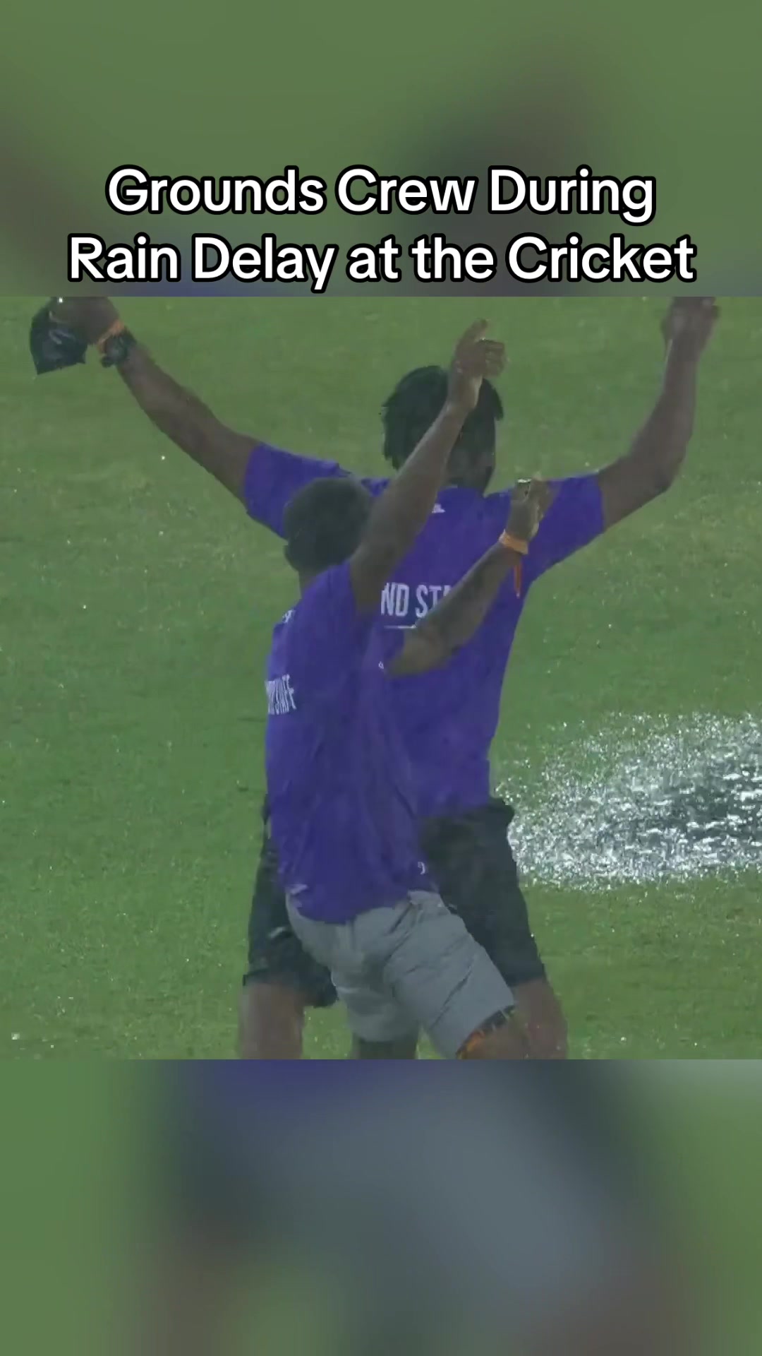 @That's Cricket