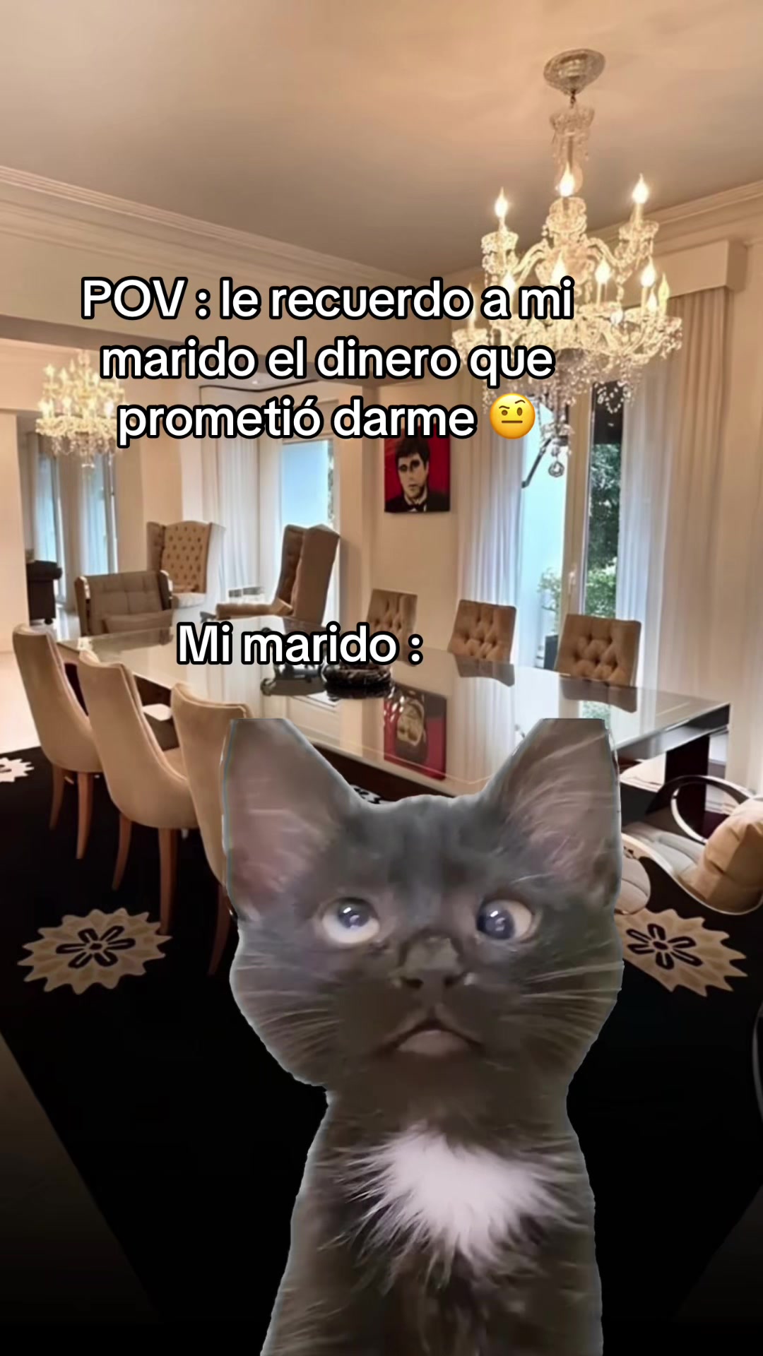 @LUZ RUEDA