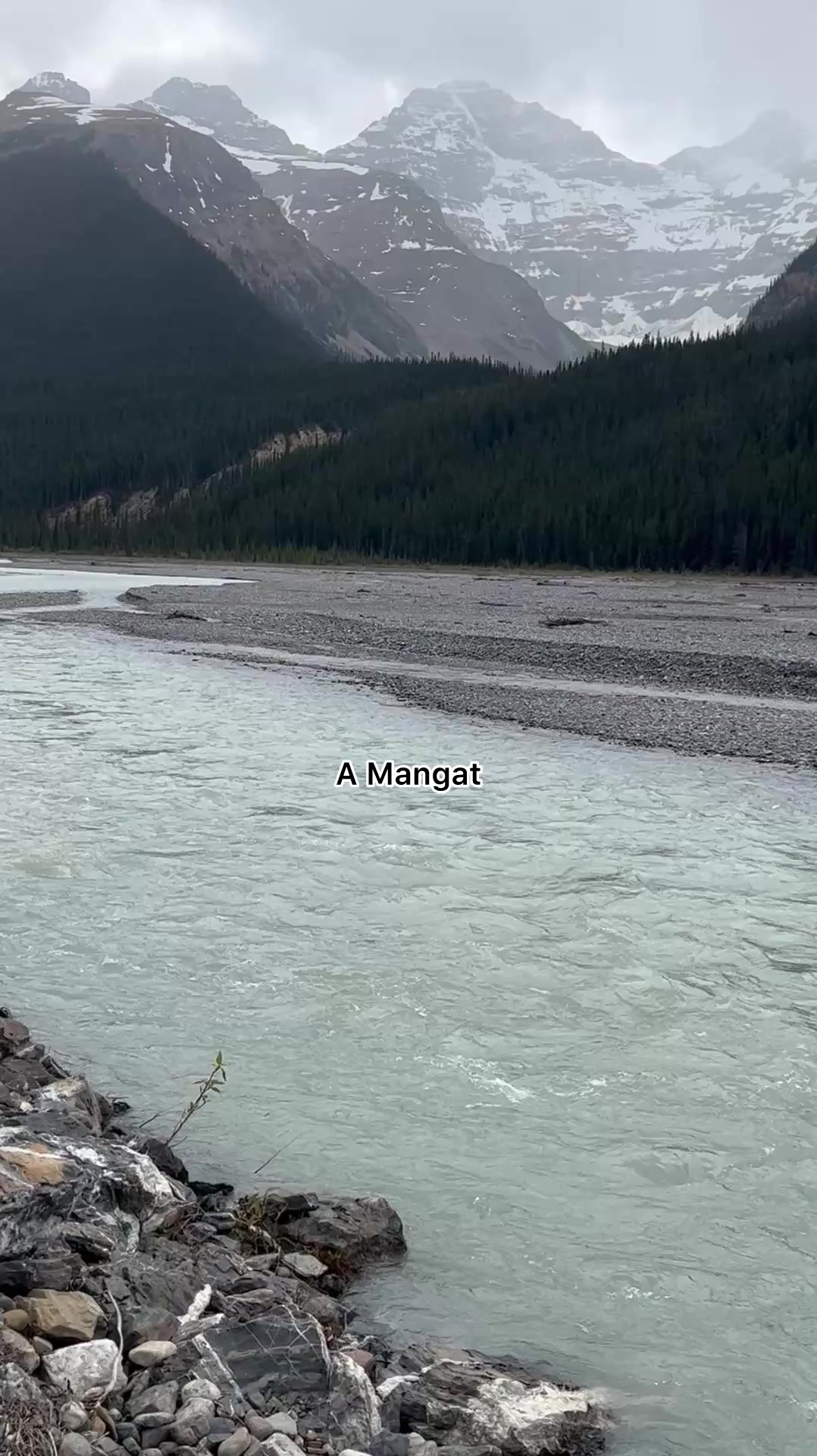 @A Mangat