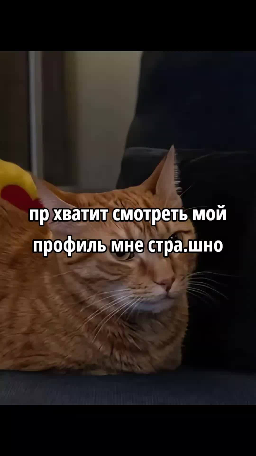 @Мия мичайник