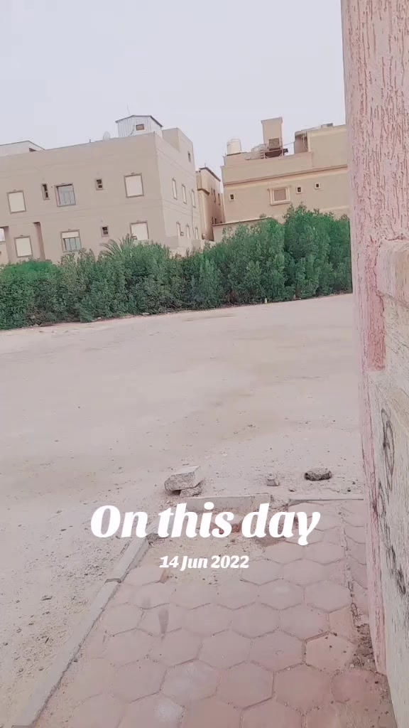 @user5541241609305