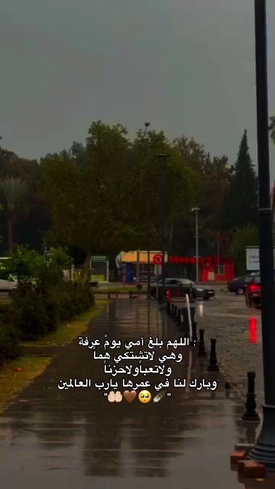 @﮼ميرا -ᗰIᖇᗩ 🎀🪐🩷
