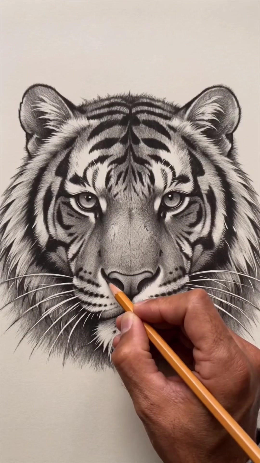 @Mr. Imaginative