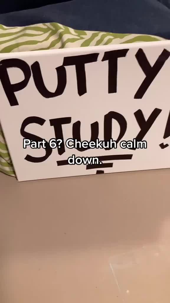@puttystudy