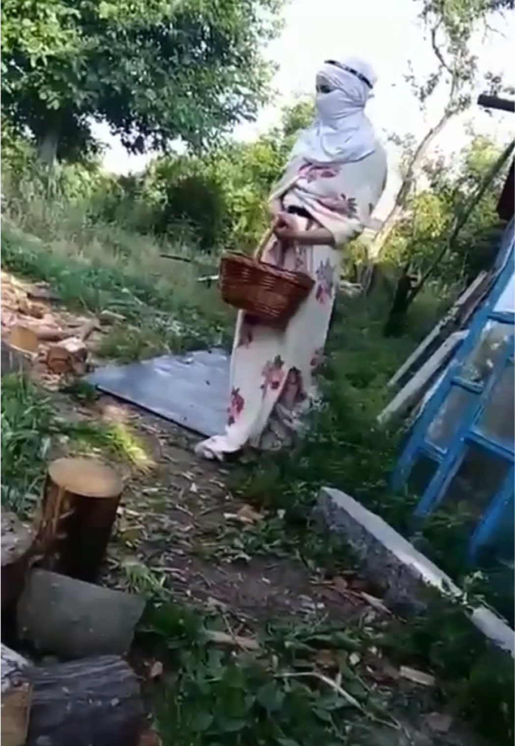 @софикс🤨