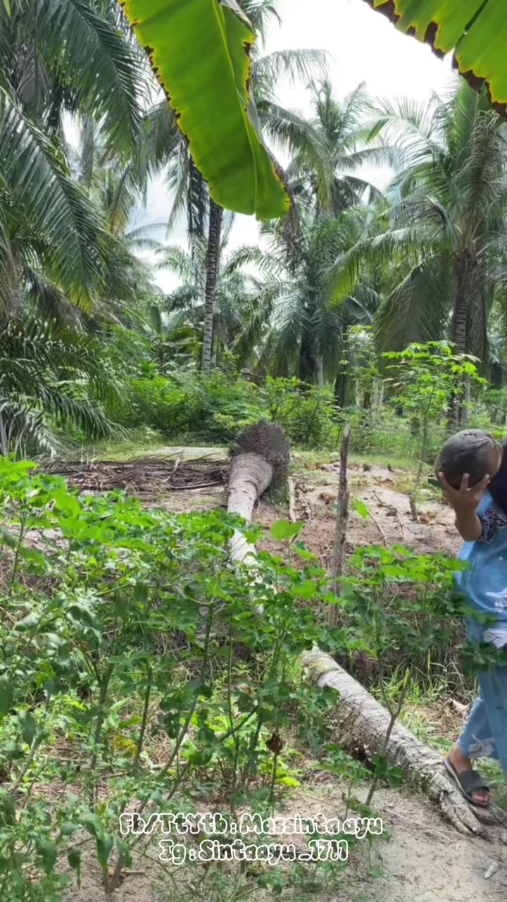 @massinta ayu