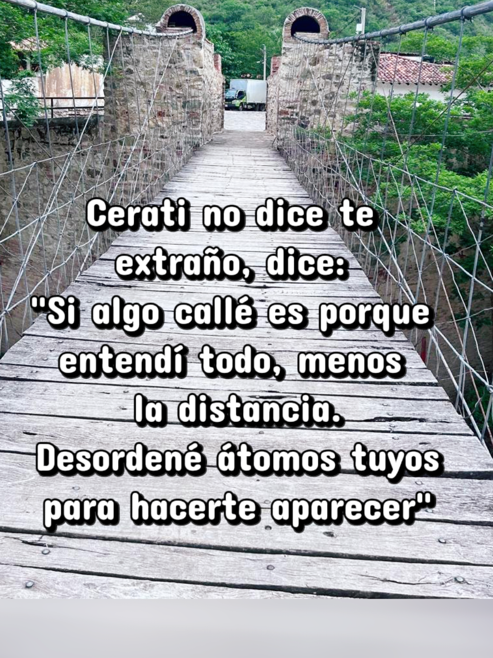 @Liliana Zabala Mendoza