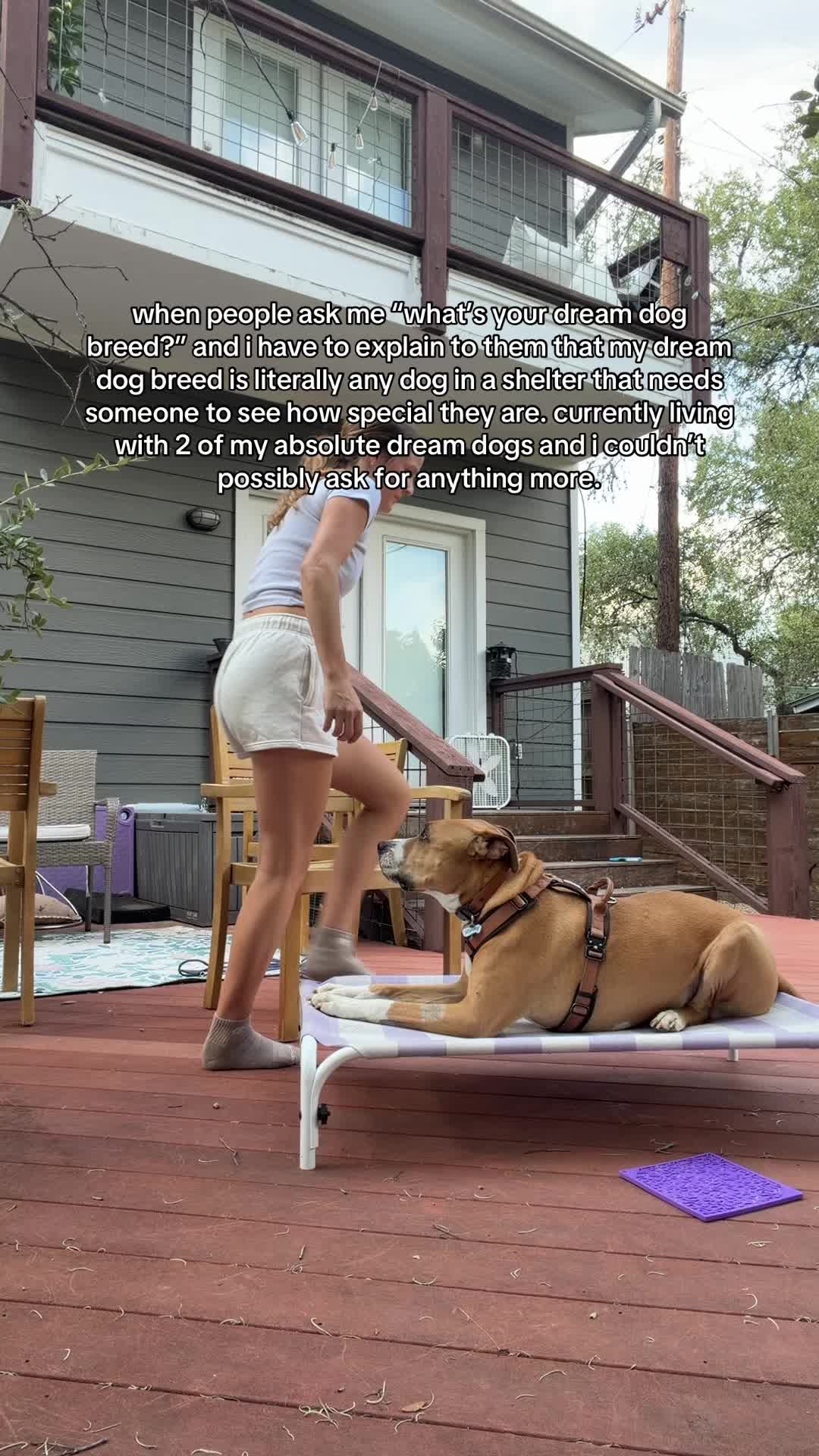 @Abby KPA-CTP | Dog Trainer