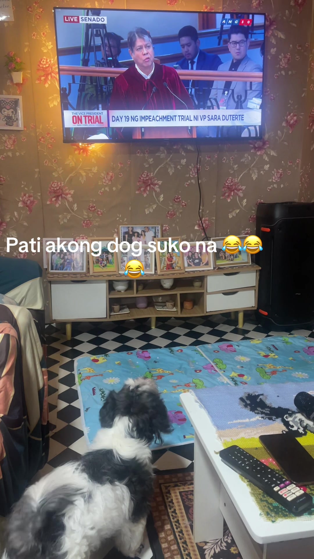 @Zoey&Zoomy&Zoya🥰🐶🐱🐶🐾🦴