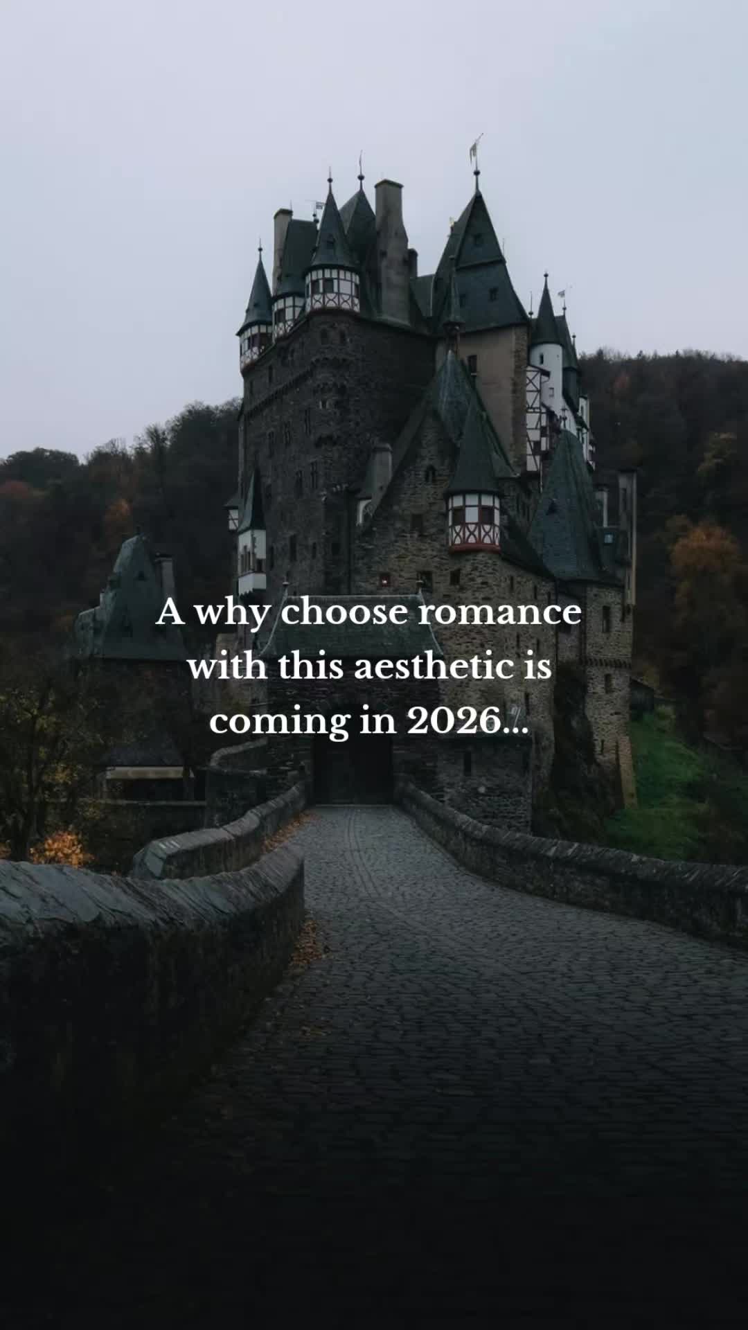 @Morgan B Lee (The Author)
