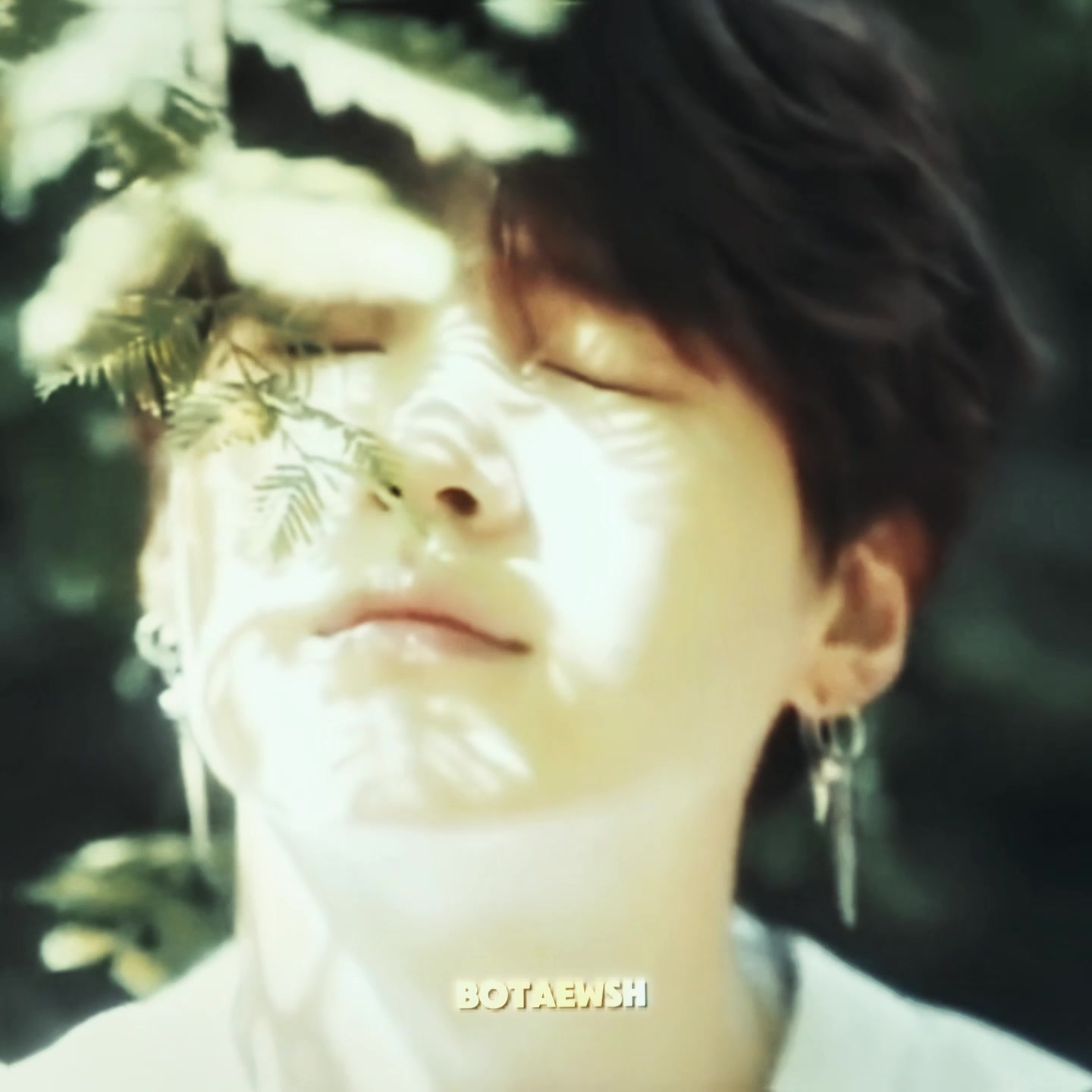 @WWH&sup1;&sup1;[stream ARIRANG,DEADLINE]