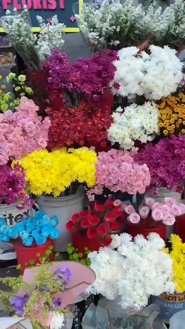 @kabir florist