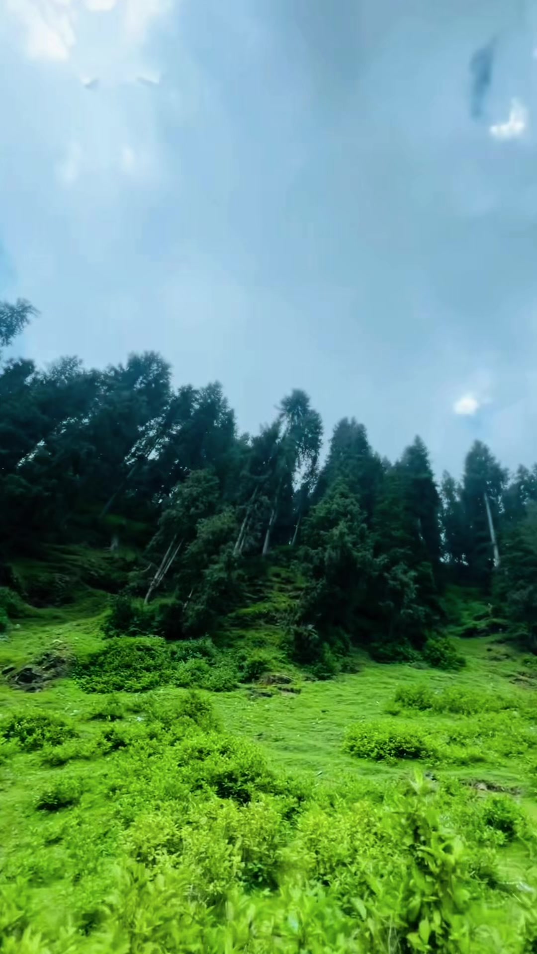 @غالب