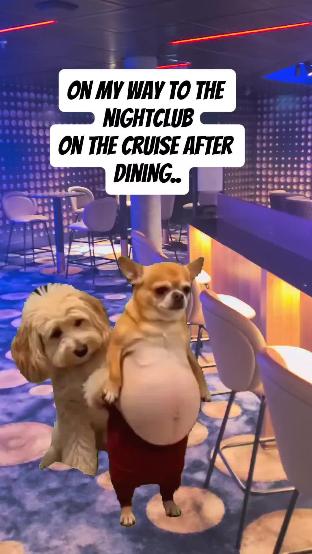 @Reese | Travel Shenanicator ❌️