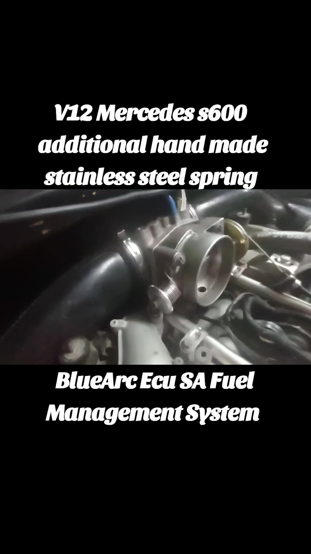 @BlueArc Ecu South Africa