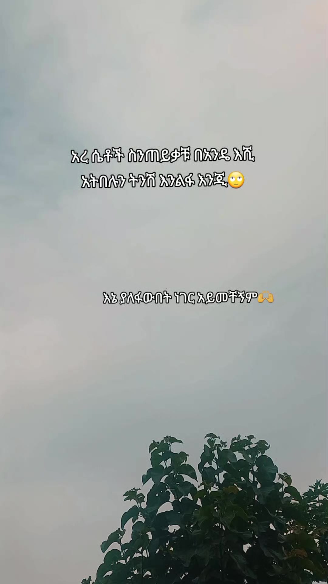 @ᴢᴏʟᴀ✧
