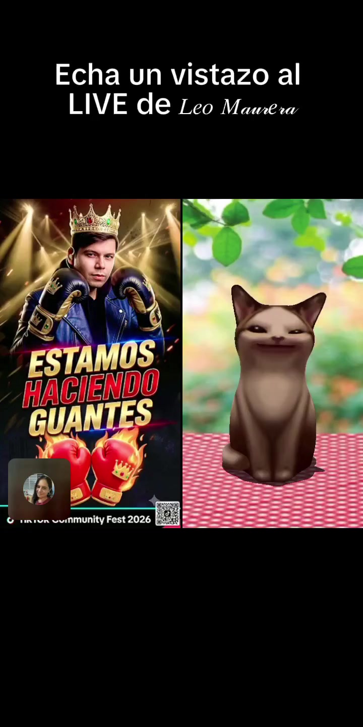 @❤️&zwj;🔥🤴🏻𝐌𝐢𝐦𝐢❦[𝐒]🫧🩵🍊🐑