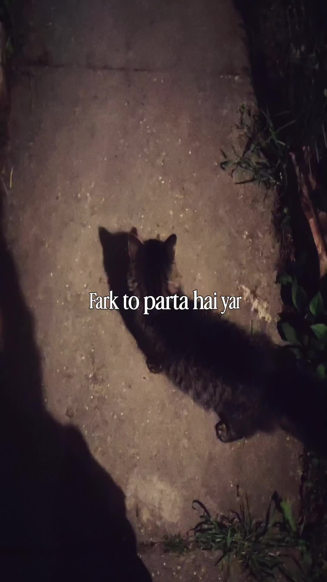 @بیڈی ھوں یار 🥀