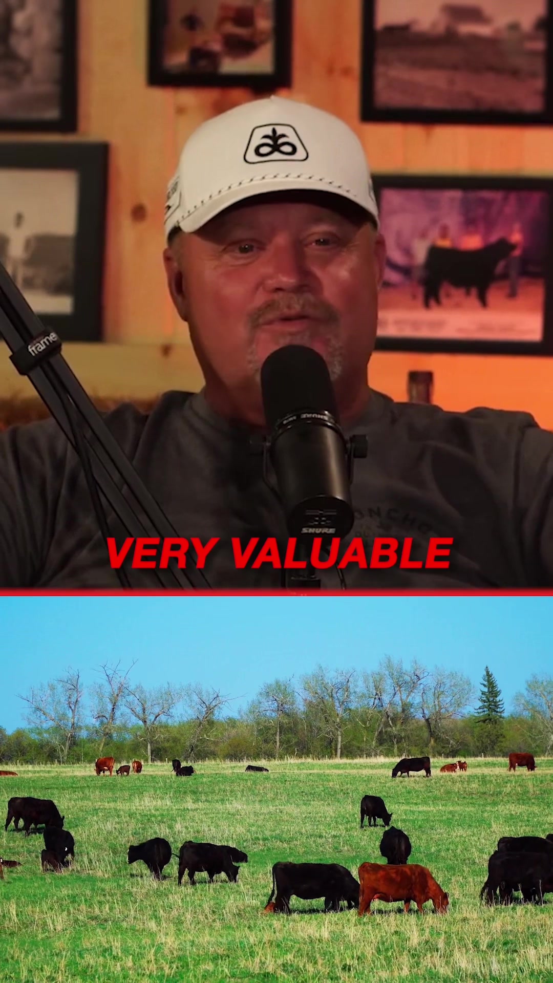@Barn Talk