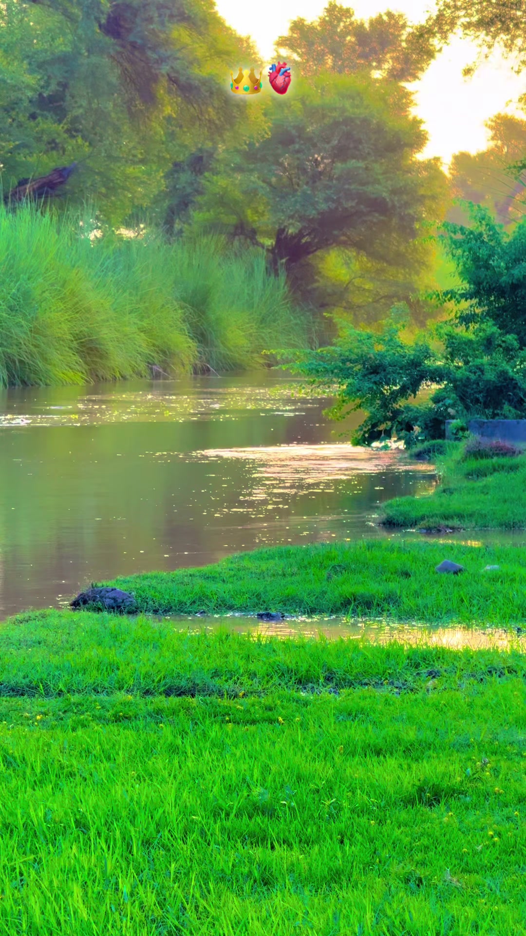 @پنجابی کلچر 🌾🍂