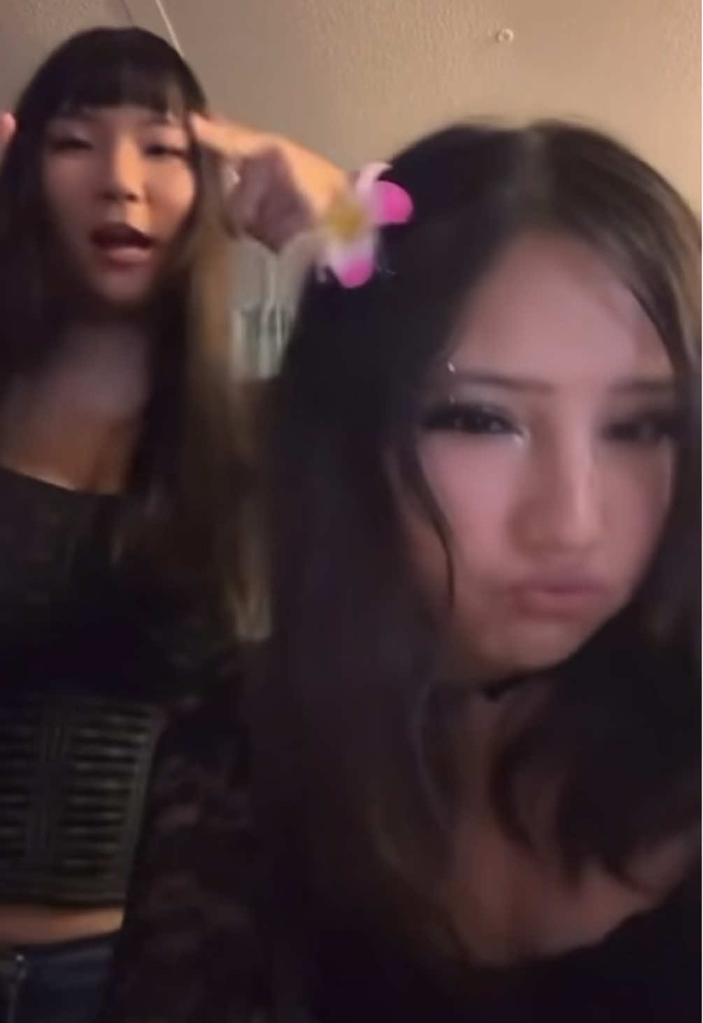 @cat