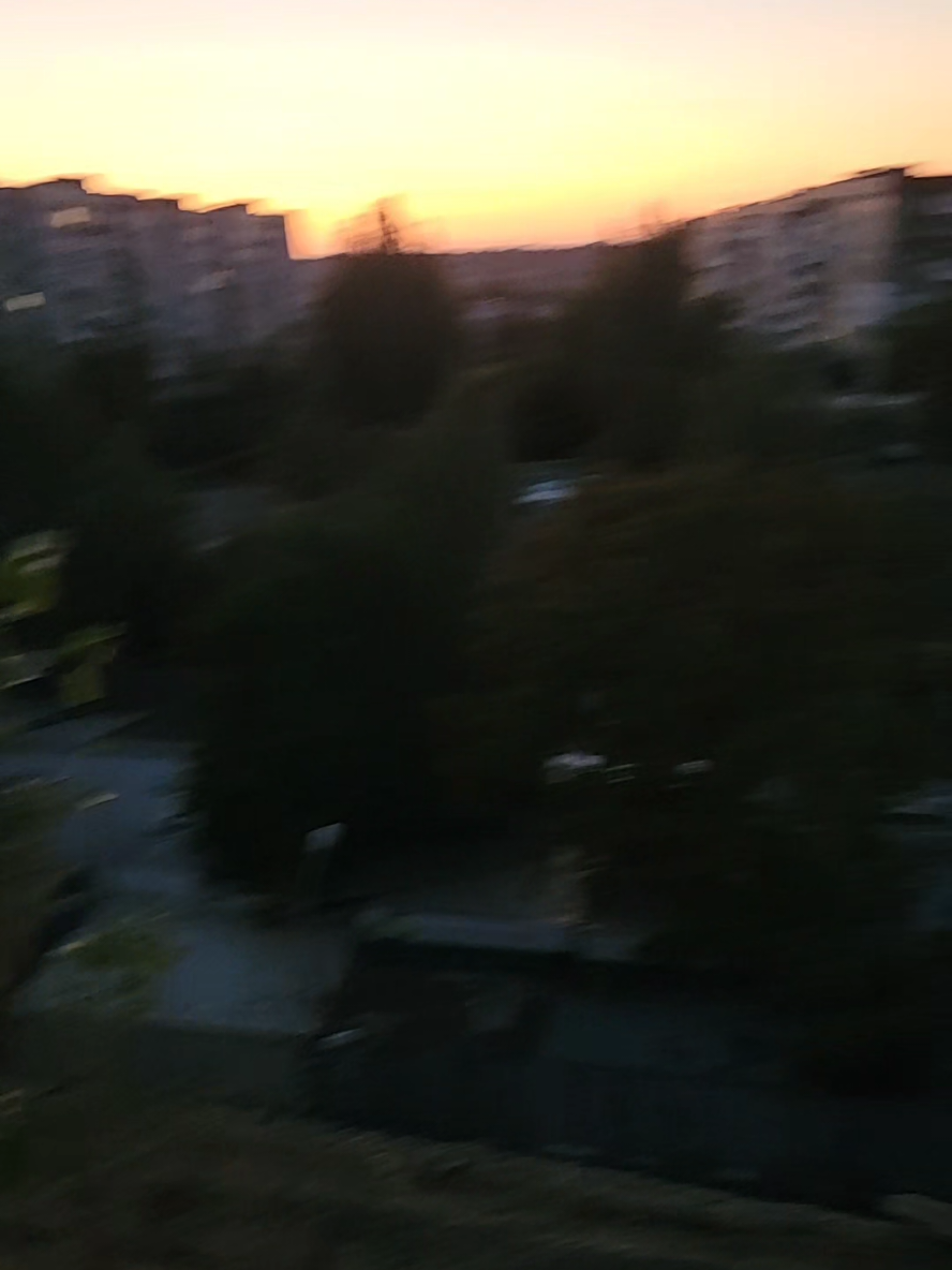 @Monopedal_Locomotion