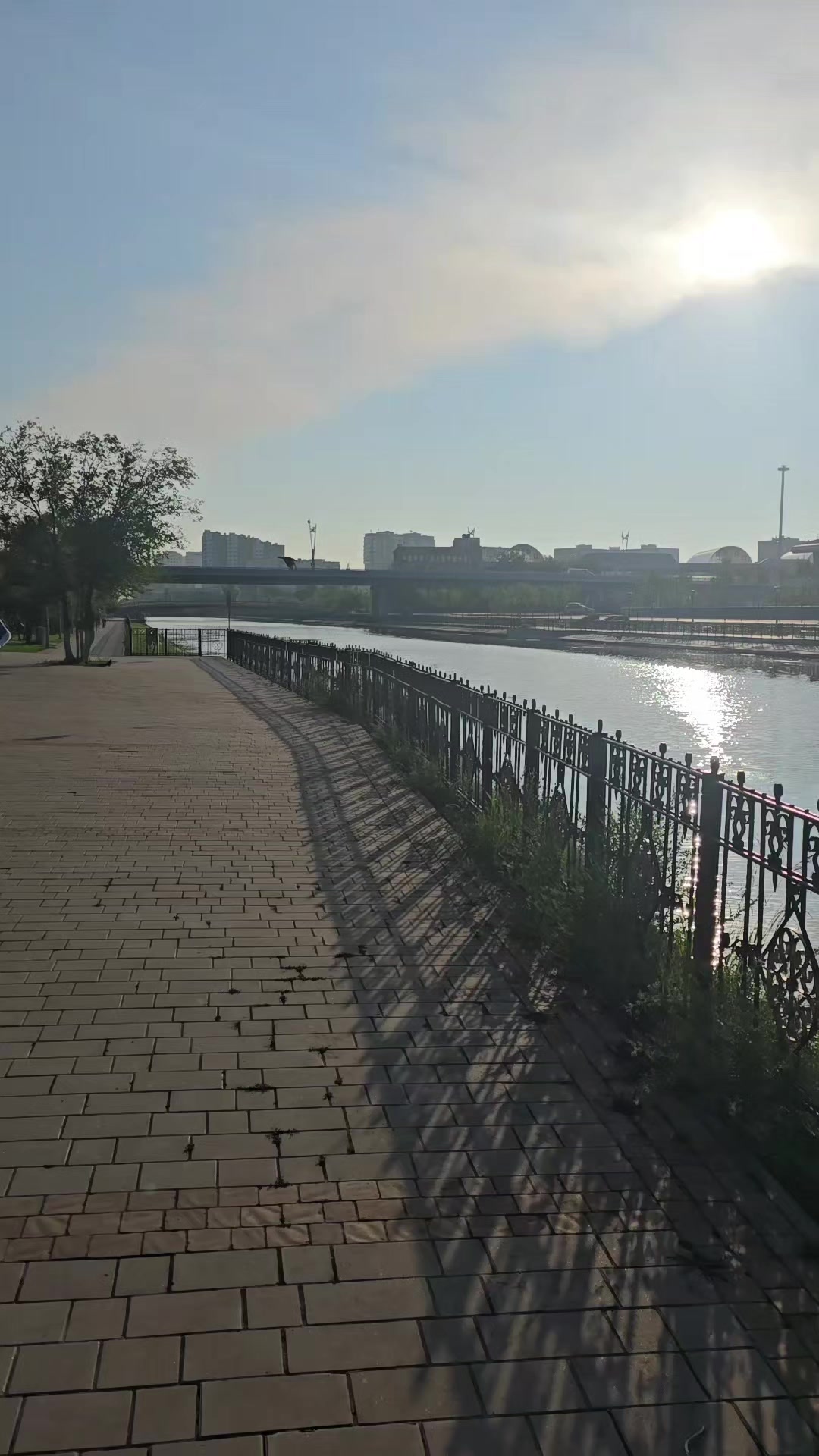 @лев