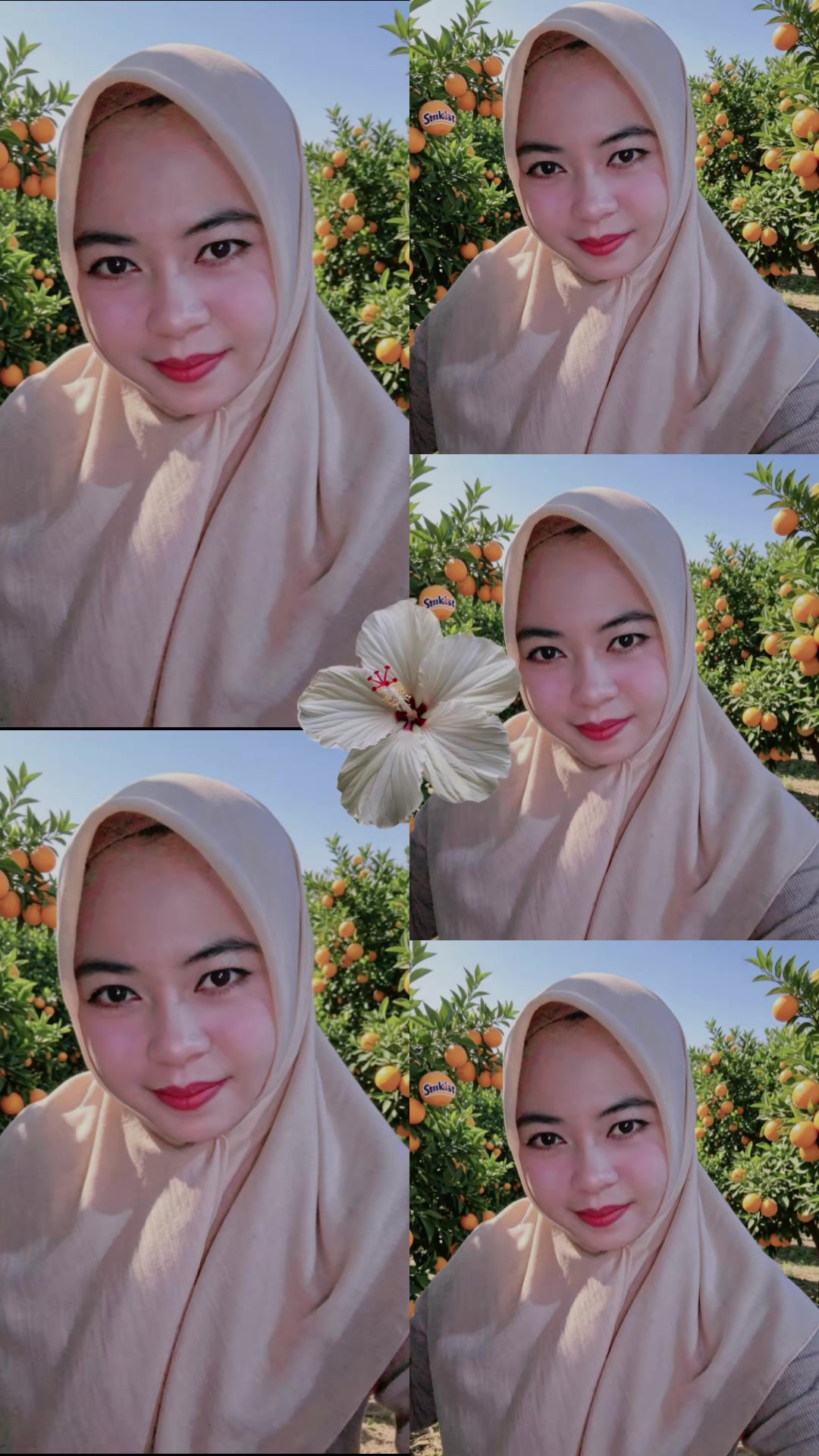 @🍬𝐞𝐥𝐬𝐢𝐢𝐢𝐢𝐢𝐢22🎀