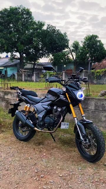 @Blue_Mamba