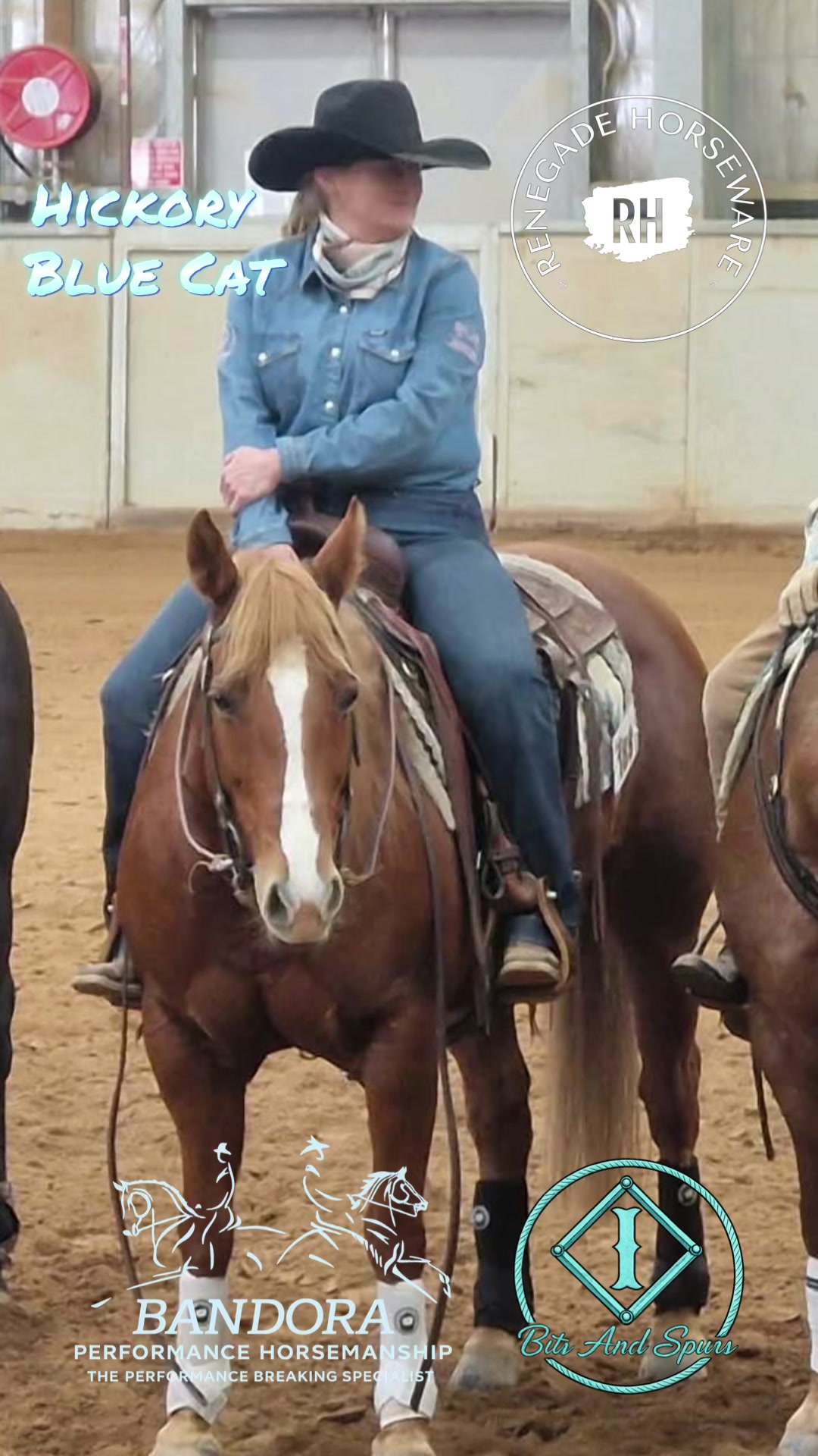 @Bandora_Horsemanship
