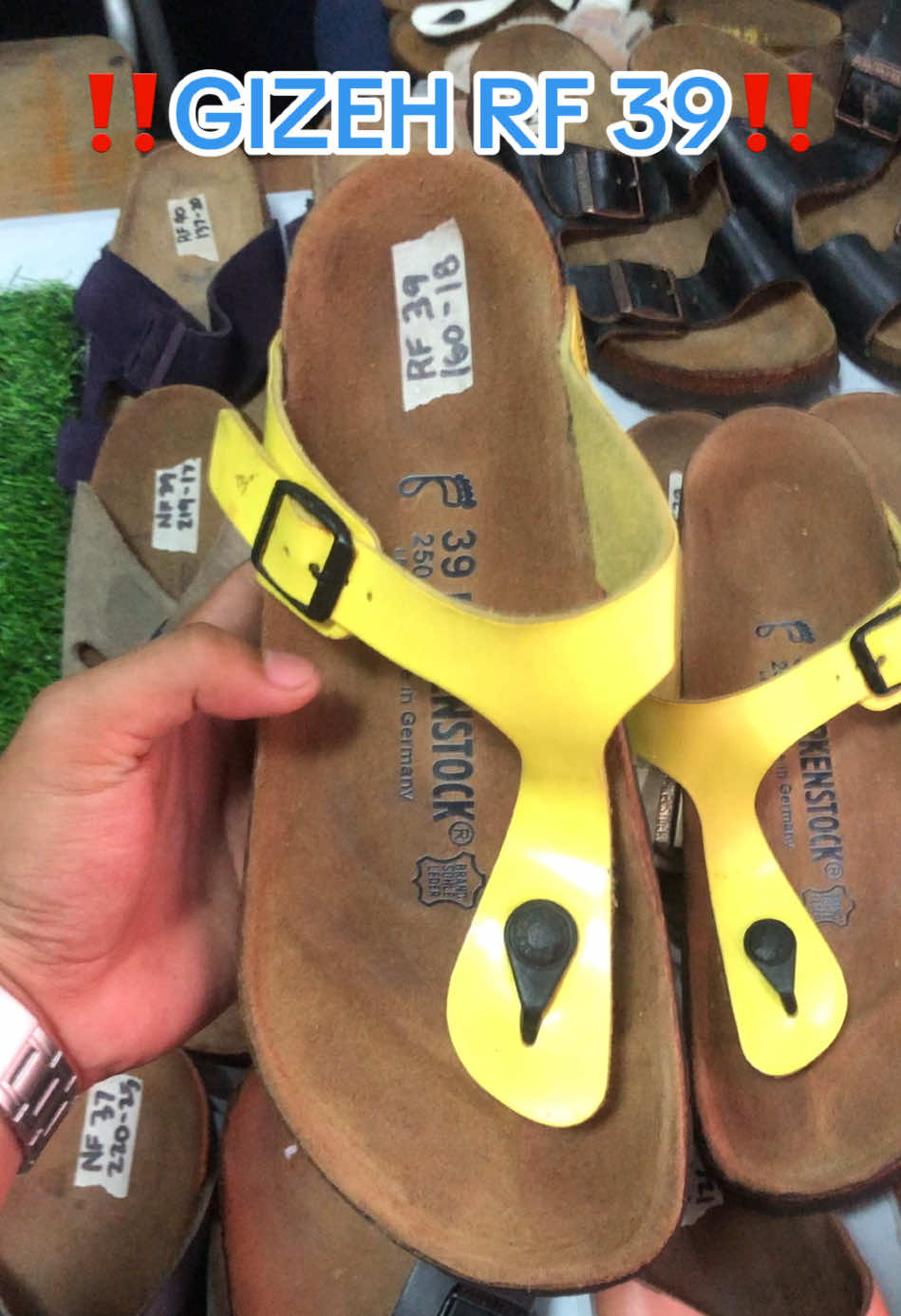 @DAILY BIRKS
