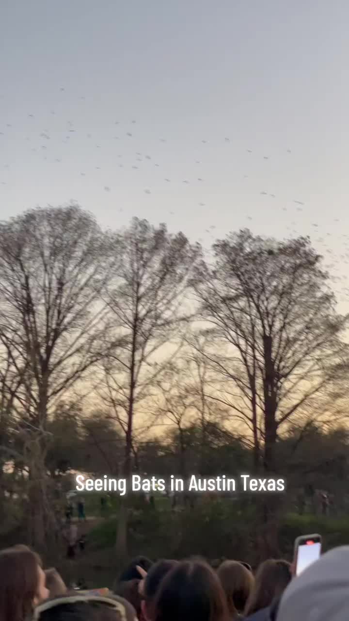 @Hubertcampbelltravels