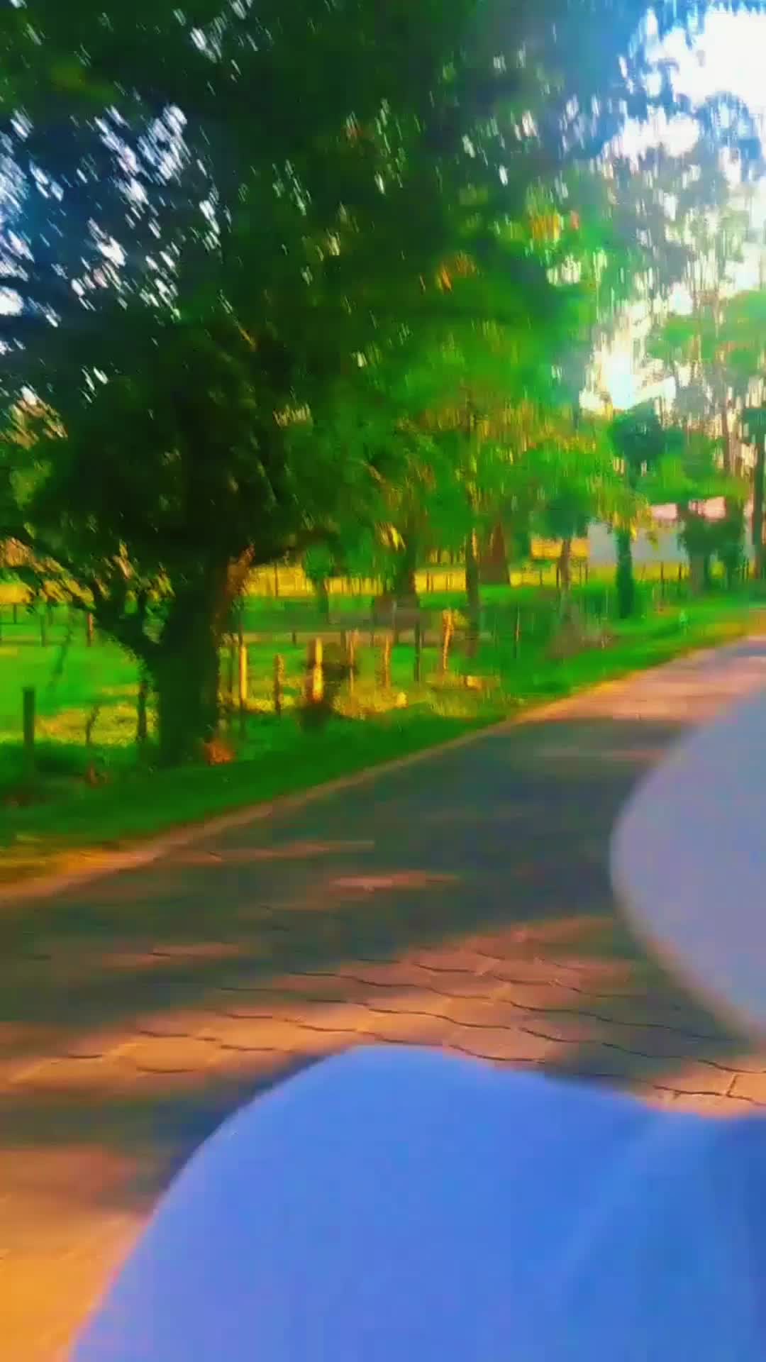 @🐼.𝙈𝘪.ⲣăⲣ𝐚cί𝚝𝗼.ღᶠ..✅️🇳🇮