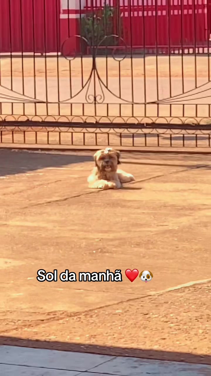 @JuRamos