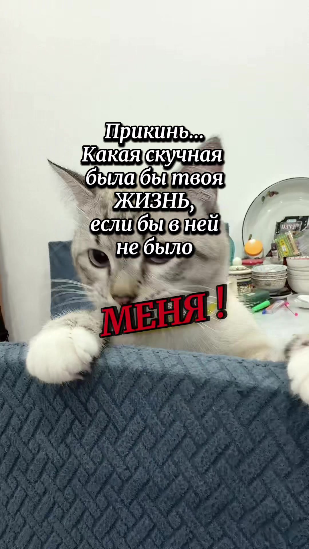@Асель