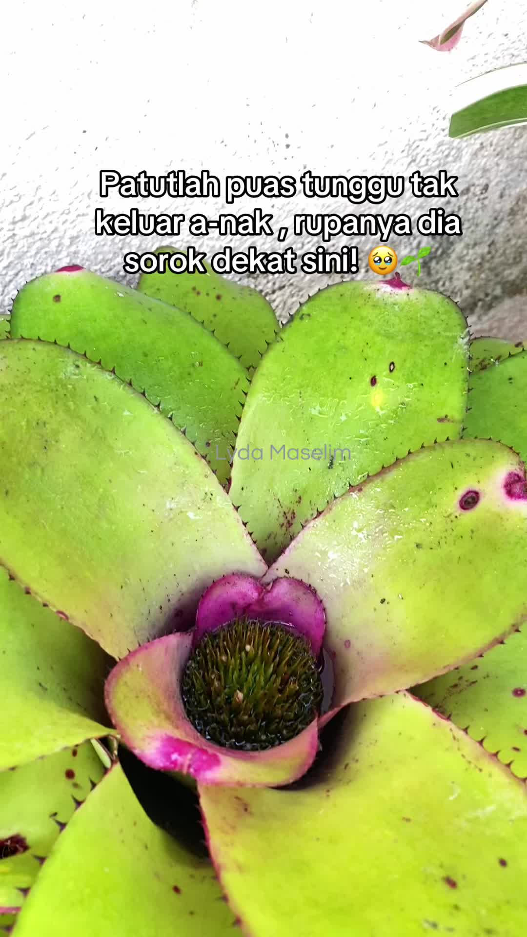 @MokChuuu ❤️