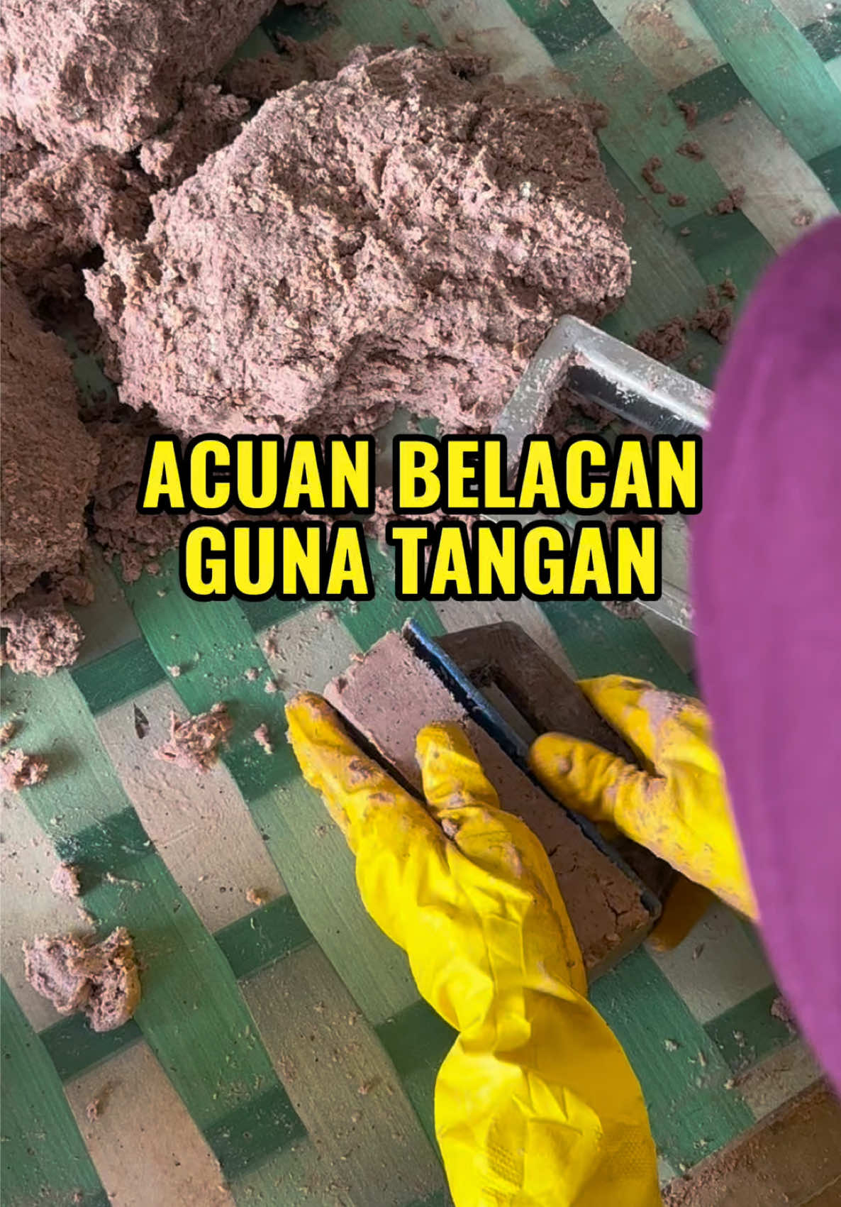 @Belacan House Tg. Dawai