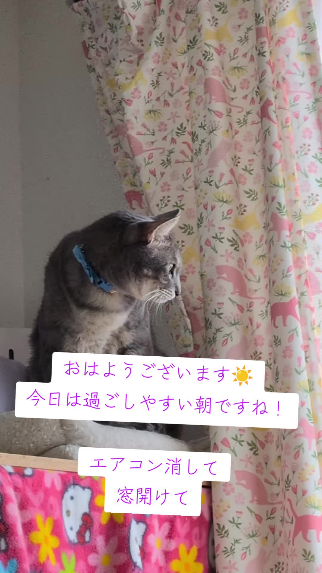 @てんきな