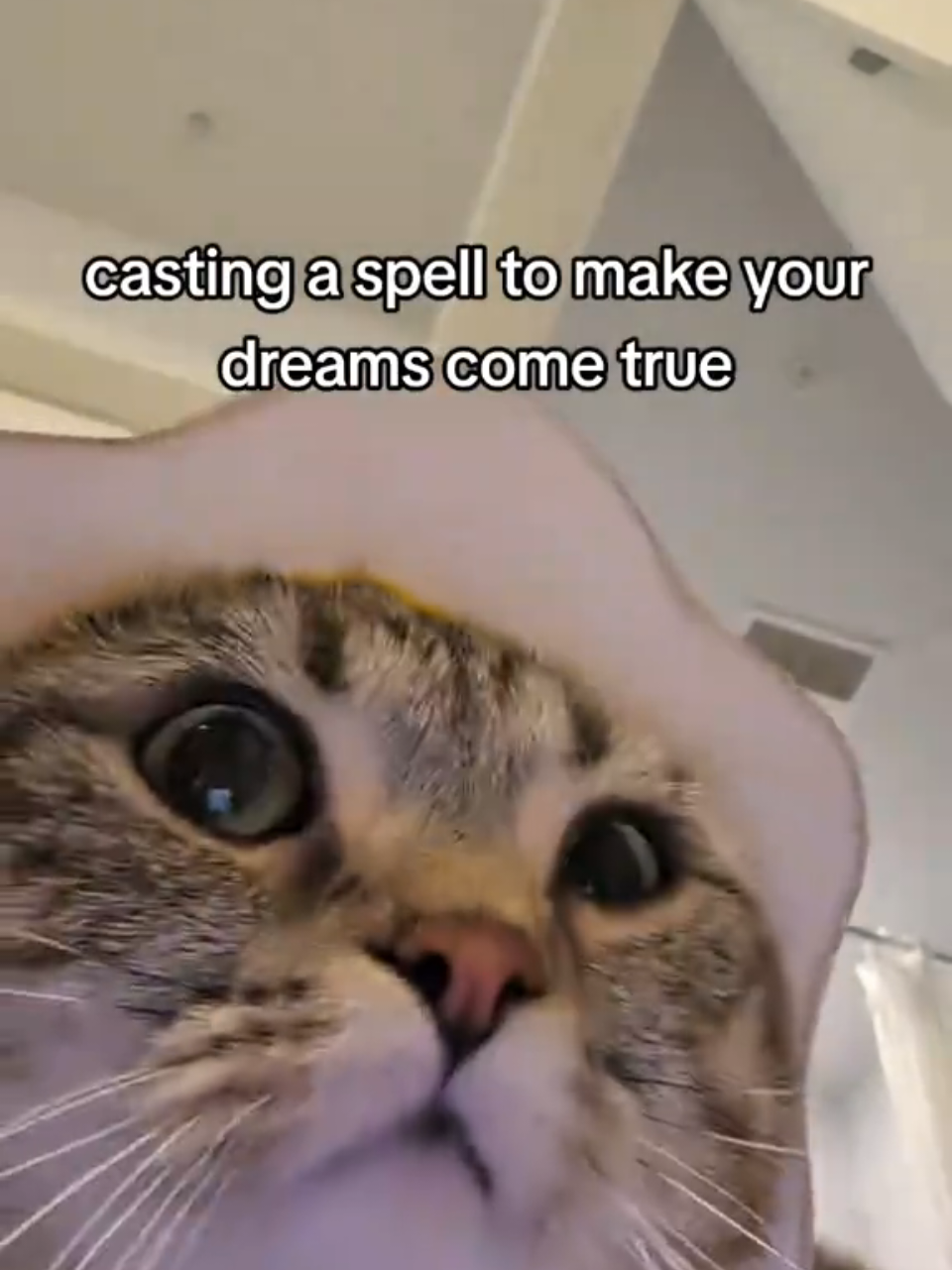 @Luka