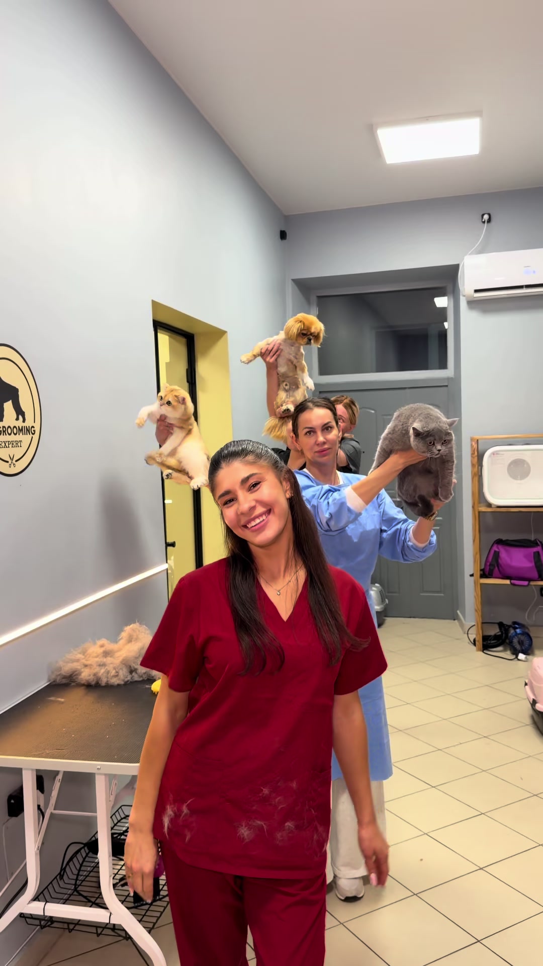 @PetGroomingExpert.md