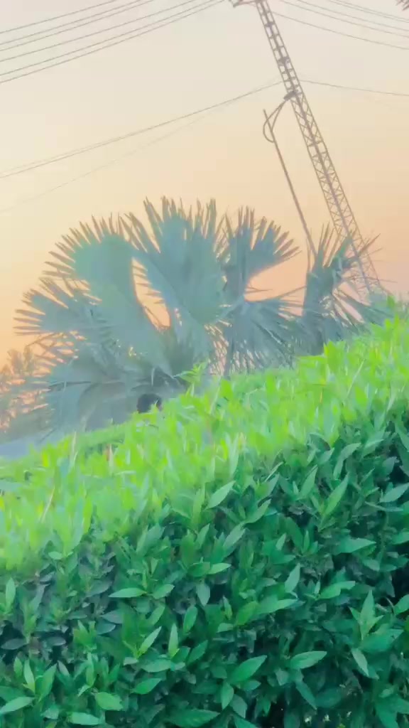 @AmirSahu786