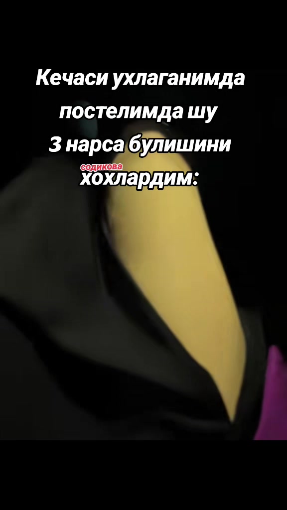 @mts999