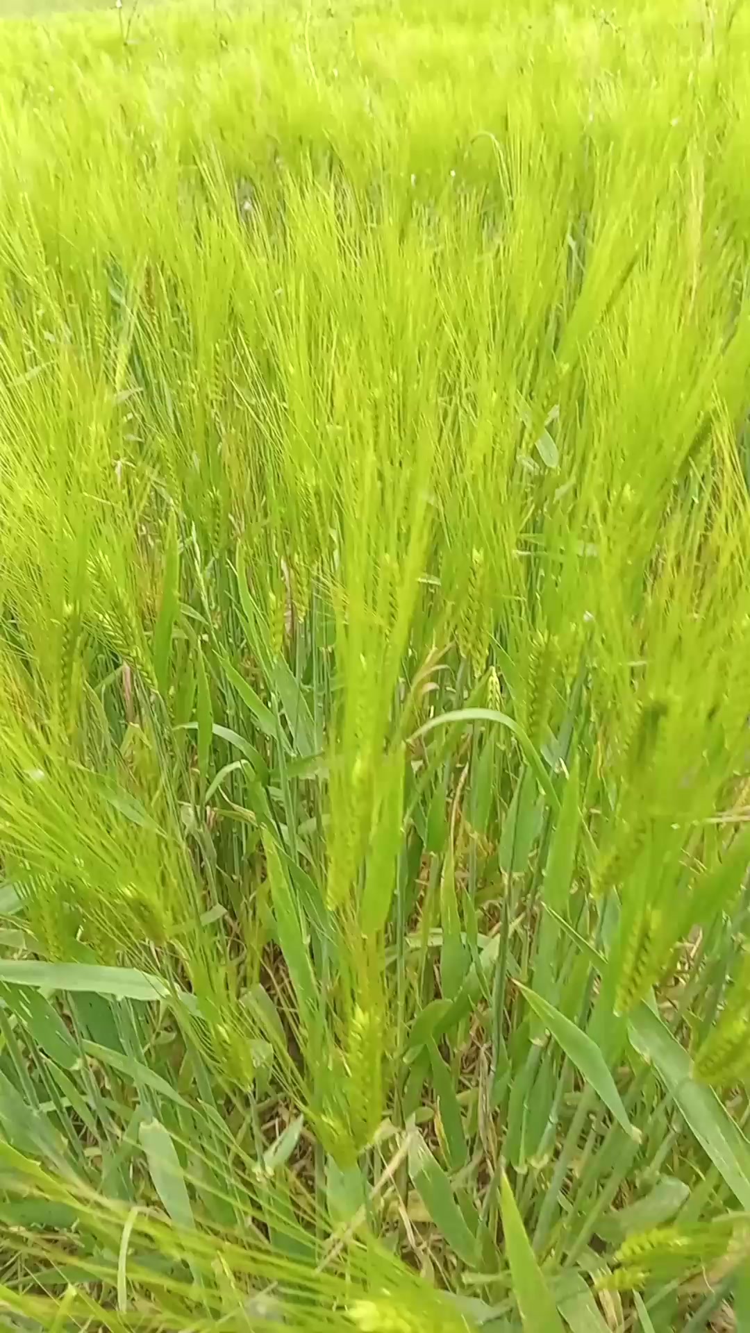 @userrr
