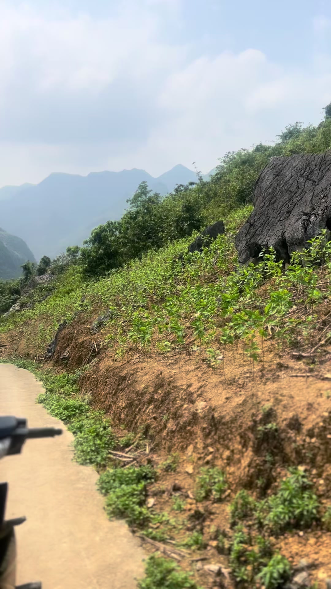 @LÍU 🇻🇳☣️