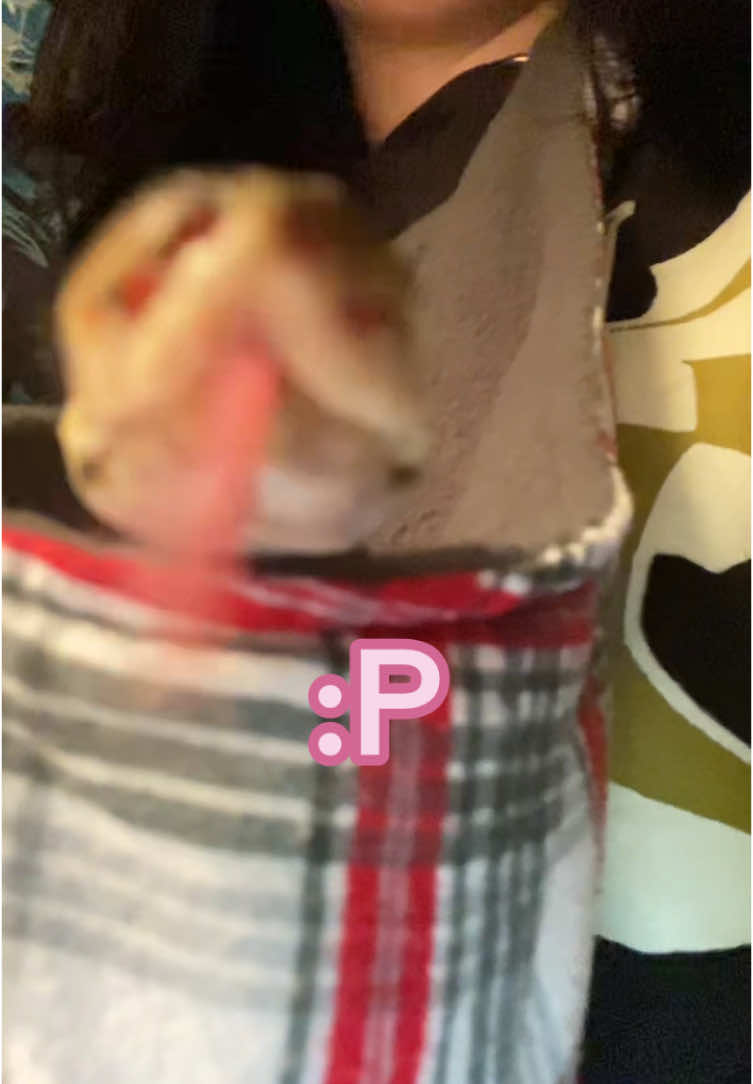 @๐ค•.๐๐ช๐ข๐ฏ๐ฐ๐ฌ๐ซ.•๐ค