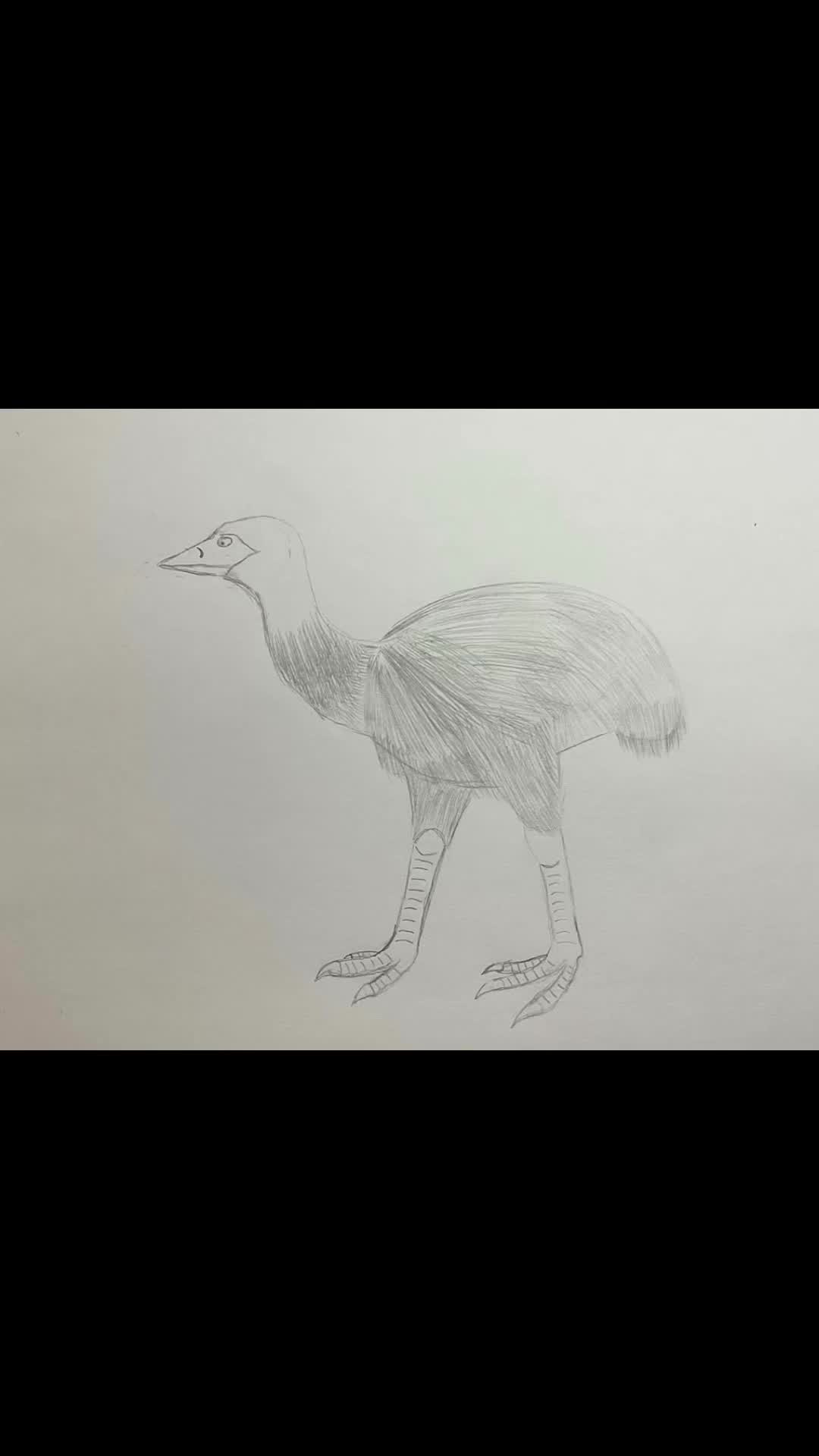 @dougsanimatinanddrawings