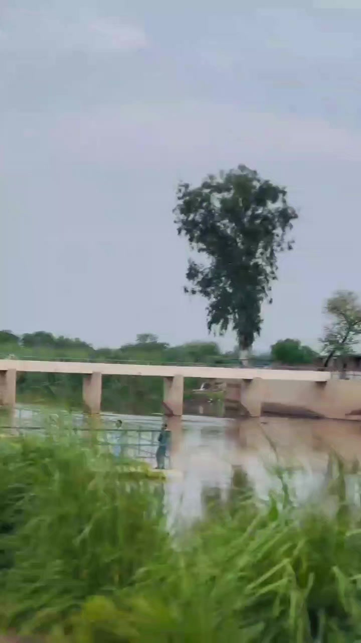 @Saرdaر🦅