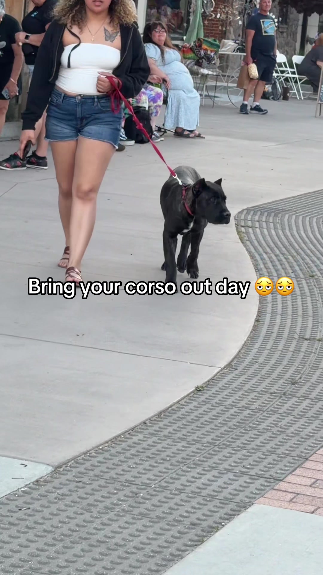@Idaho Cane Corsoz